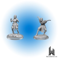 DND Unpainted Minis Half-Elf Monk Females